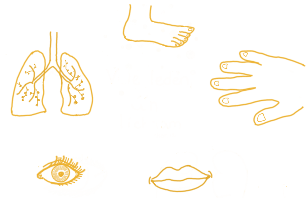 Persoonlijke analyse